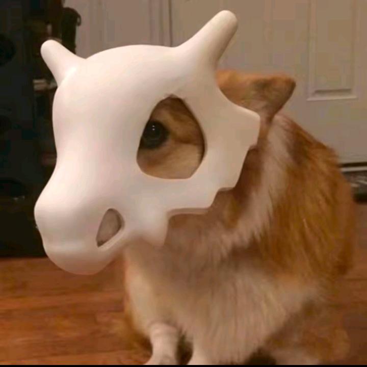 累累的