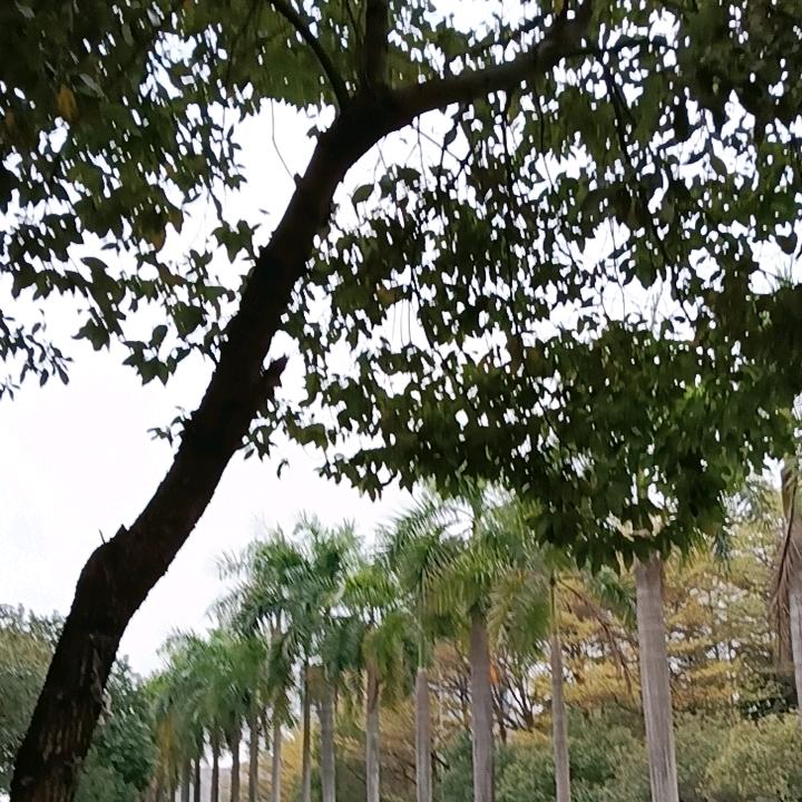 😇