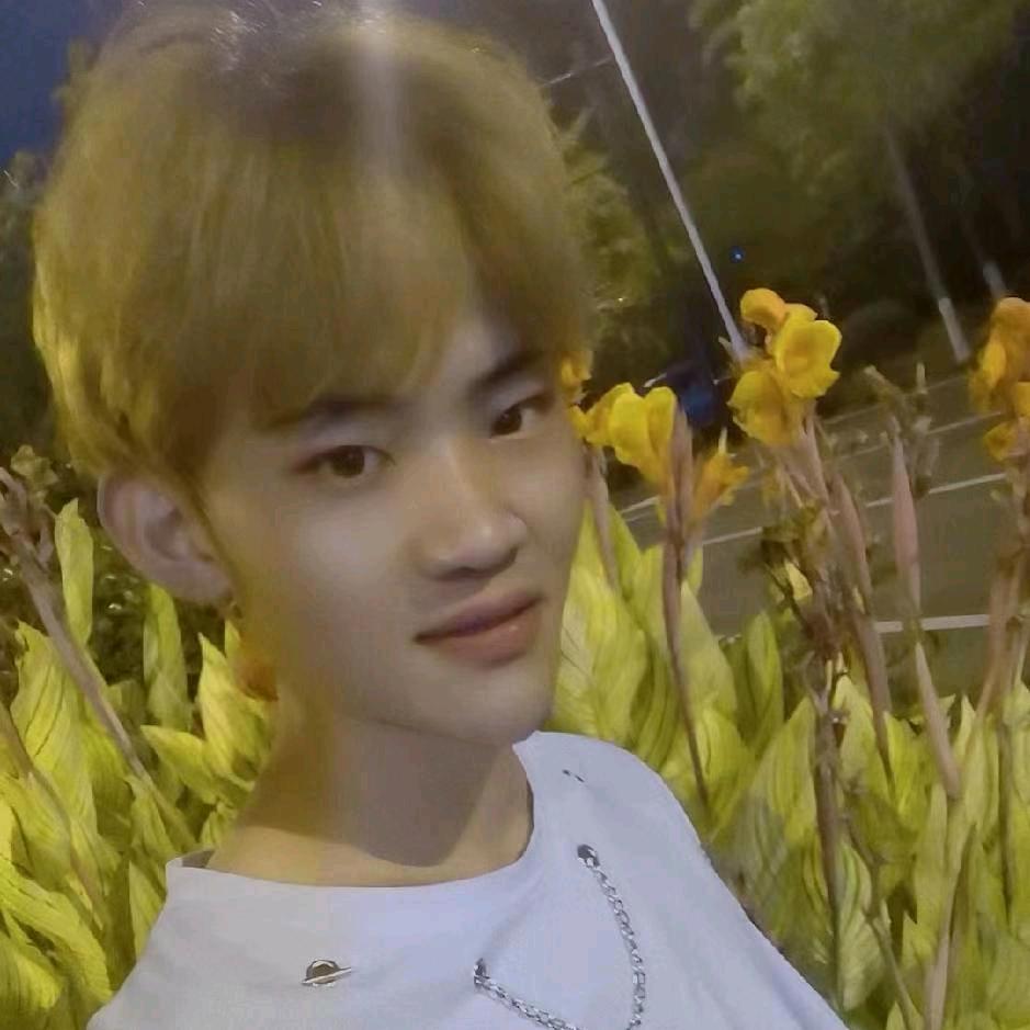 晓啊鑫
