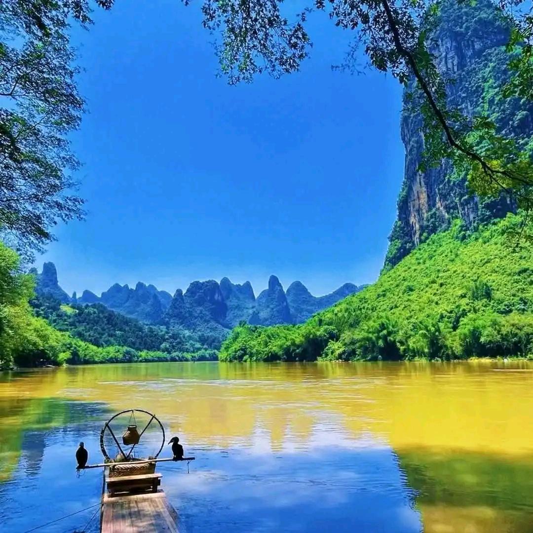 爱哭的毛毛虫