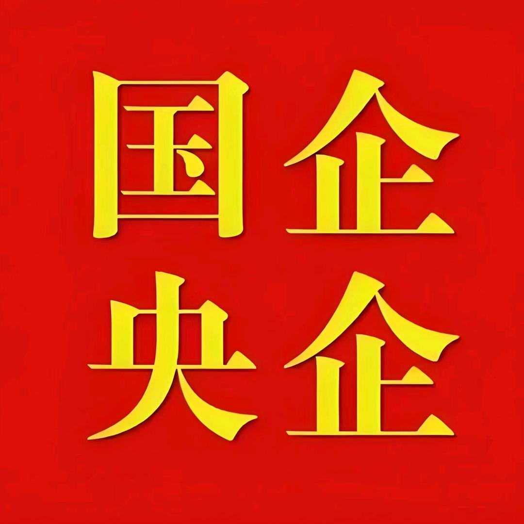 助力央国企上岸薛老师