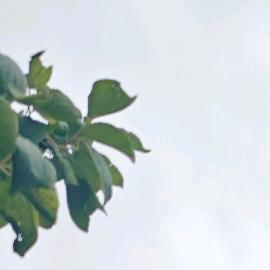 向上111