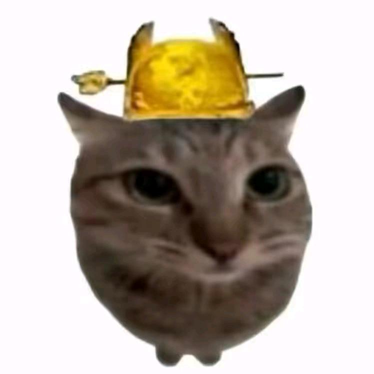 meme猫（皇权）