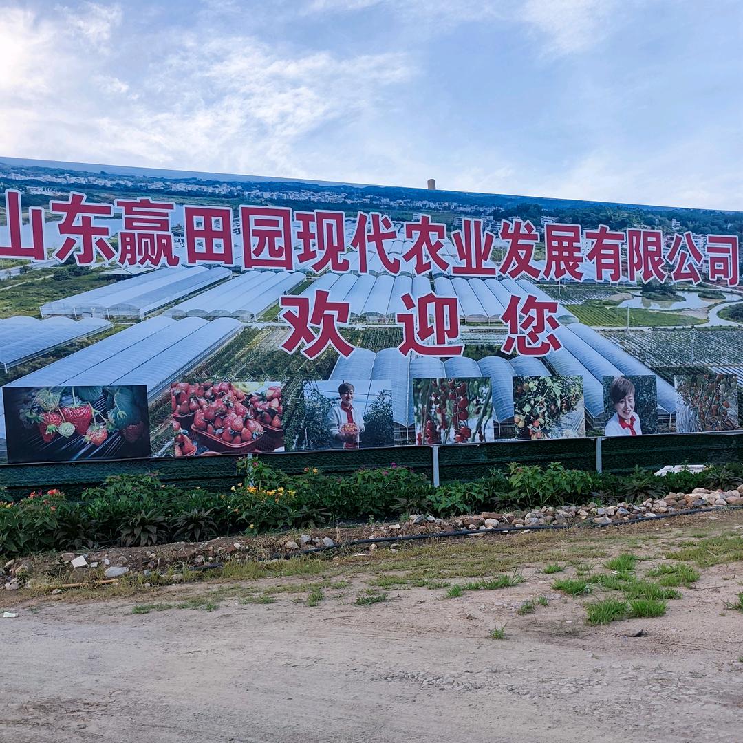 莱芜蔡姐