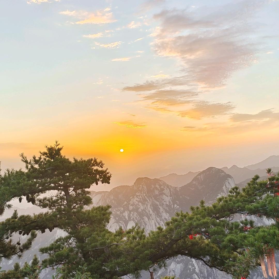 匠心造园记