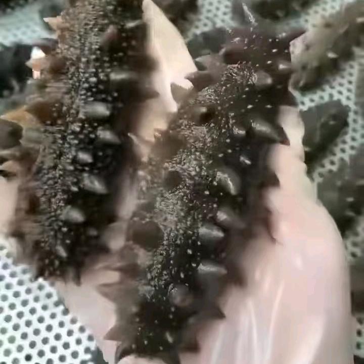 田横海晟源水产
