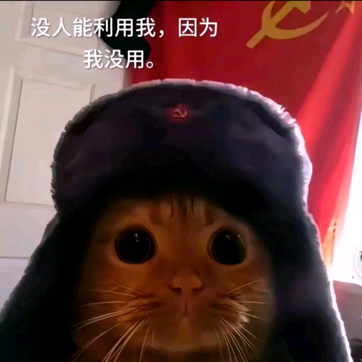 烫手的冰.
