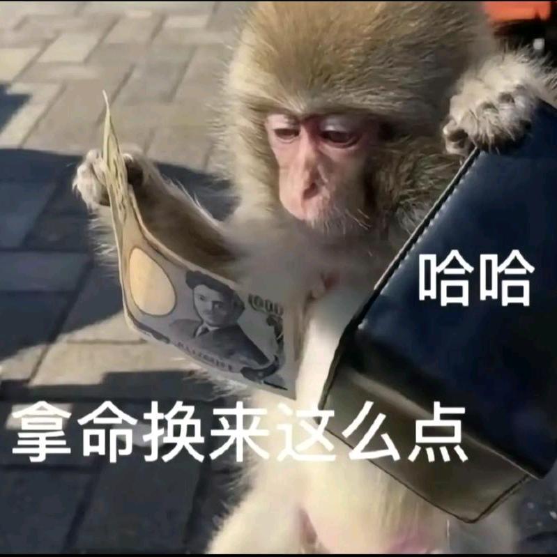 -避风港