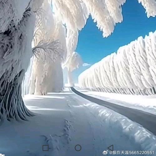 雪花雪花你可听见