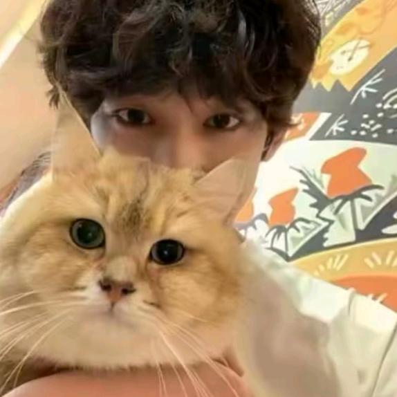 12345678910987654321