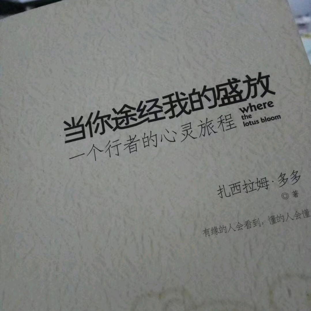 亚马逊河丛林