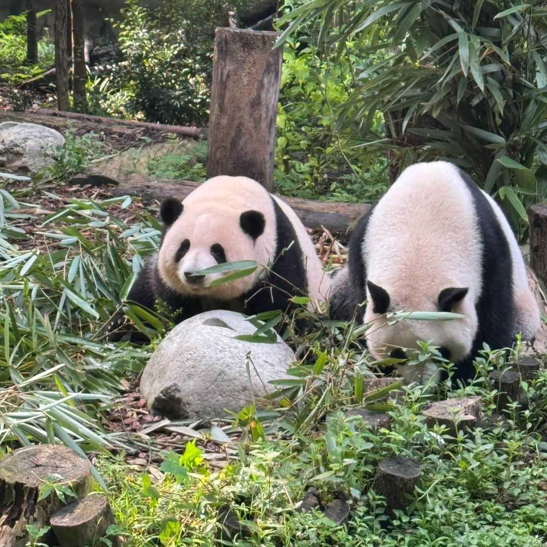 我的号呀
