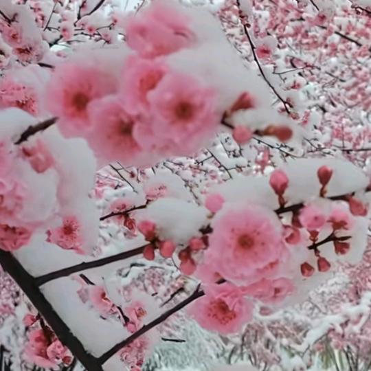随意