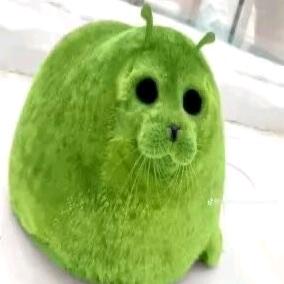 糊牛大粪中