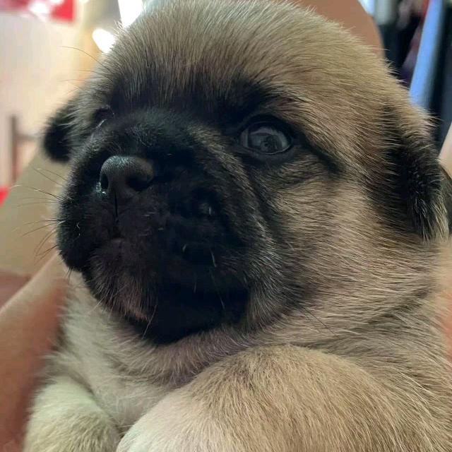 ꧁❦不问不闹❦꧂