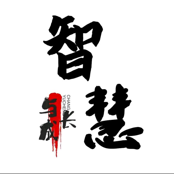 智慧成长