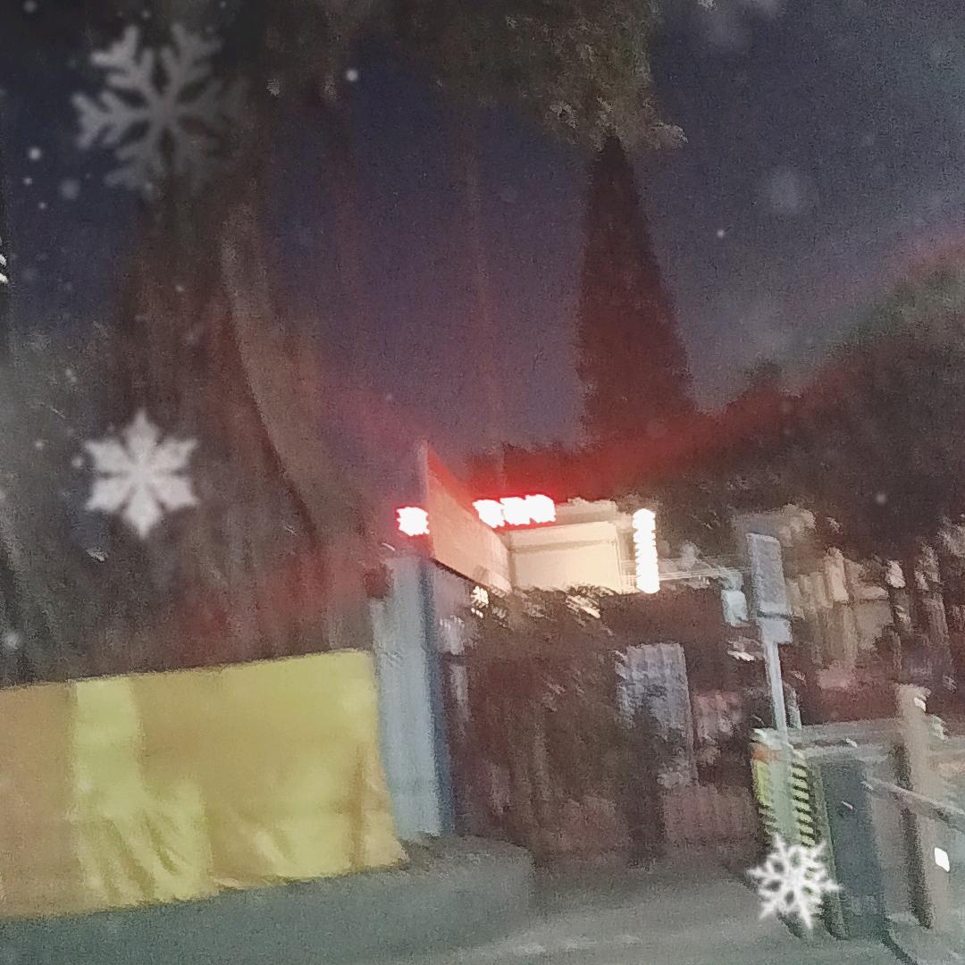 飞翔