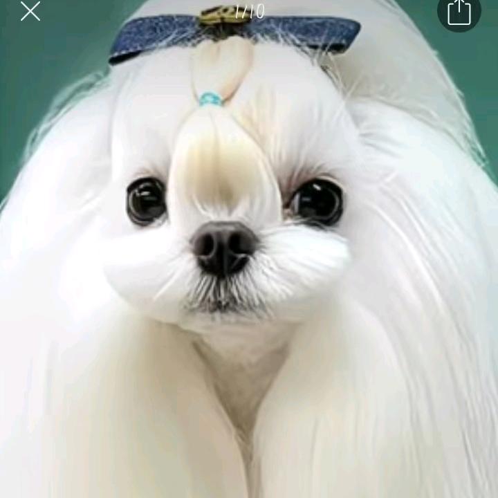 Serendipity
