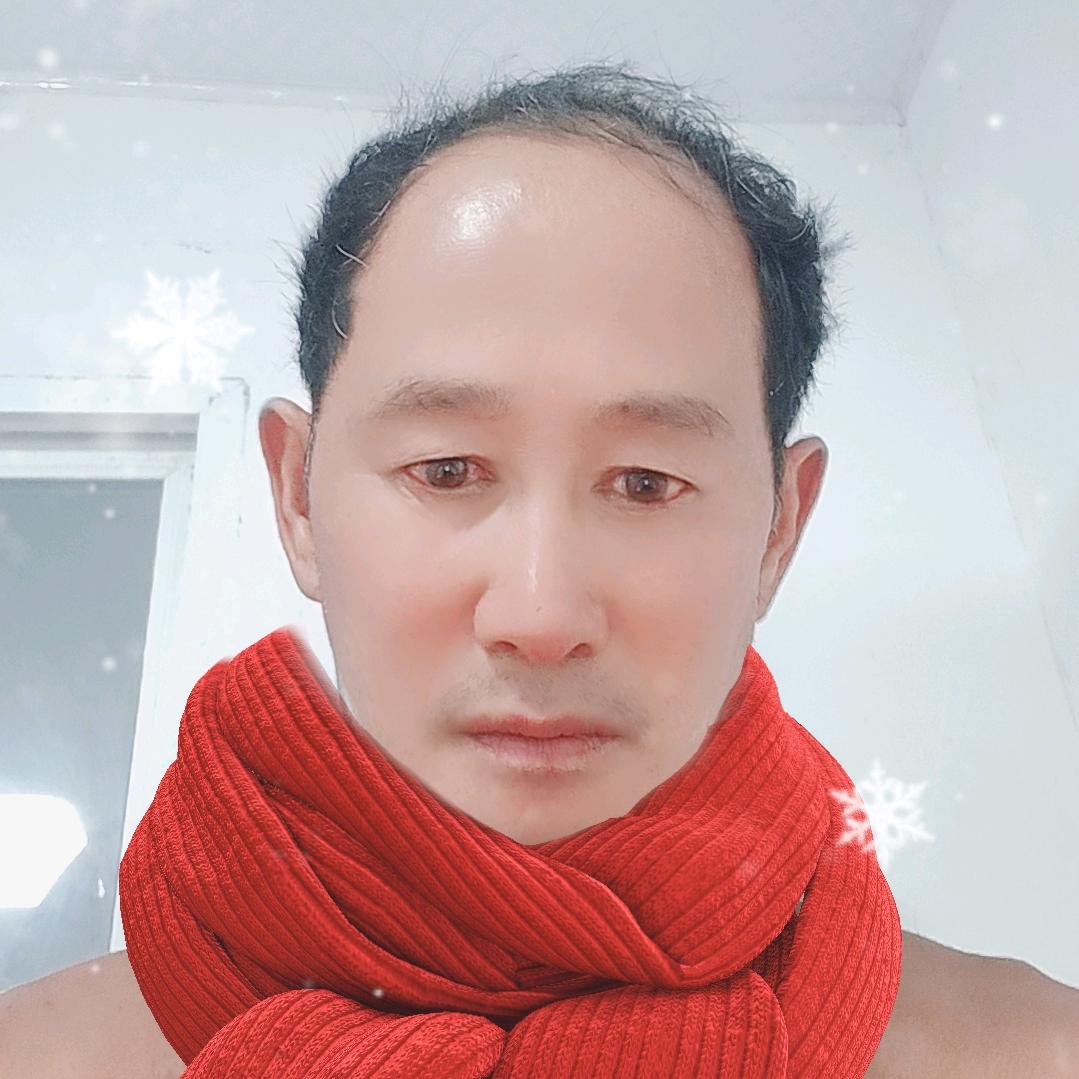 金帛甲鱼先生