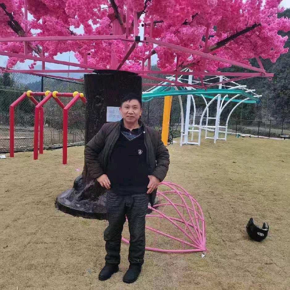 忘记我心中痛