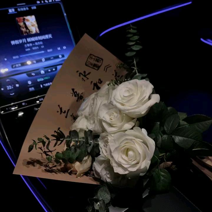 哈尼