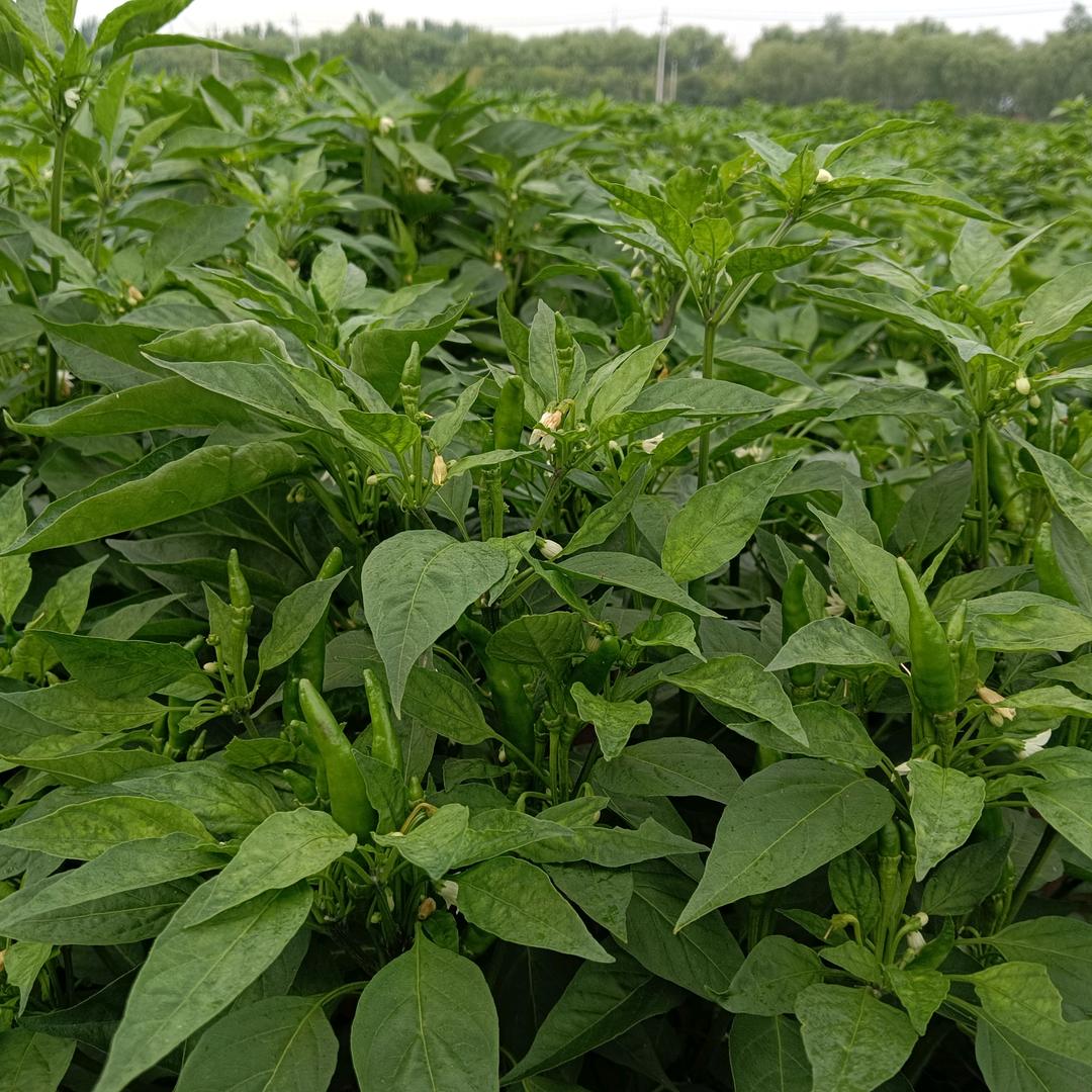 曾经待过的地方。