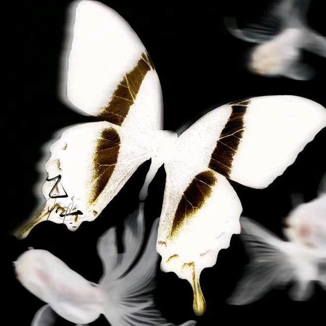 棋逢对手（想找个伴）