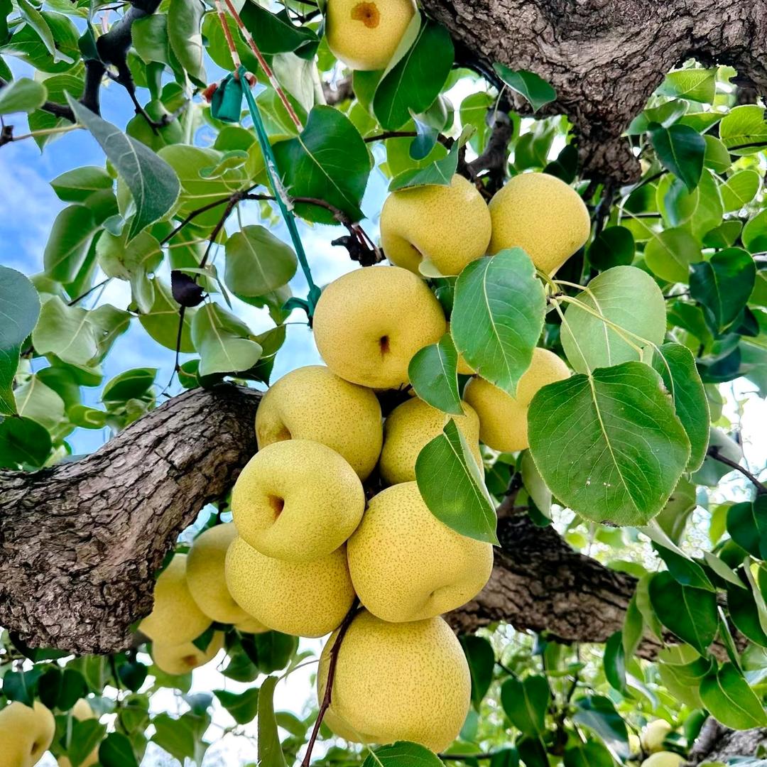 为你而来，若水老公，老婆