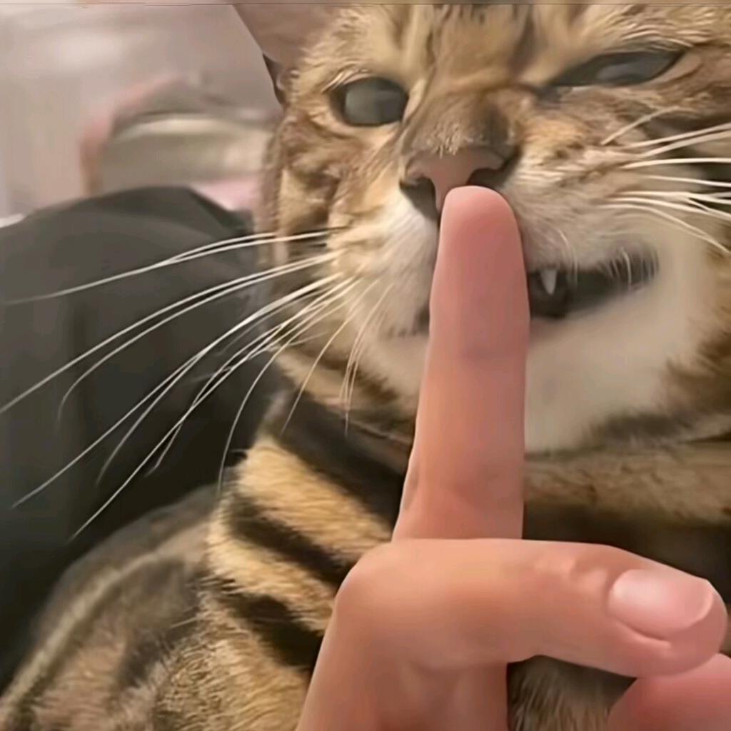 疯狂粉红无敌大鼻嘎