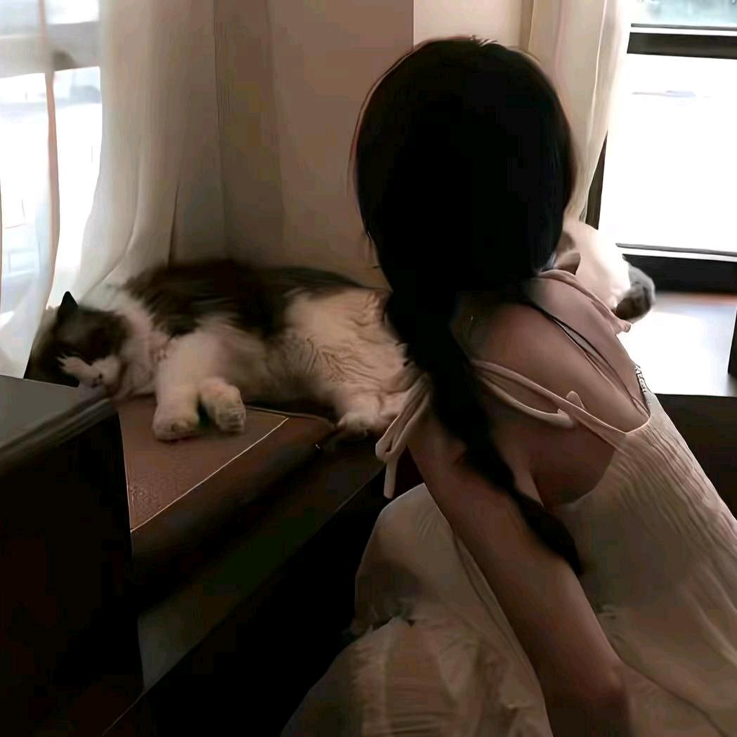 晓锦豪
