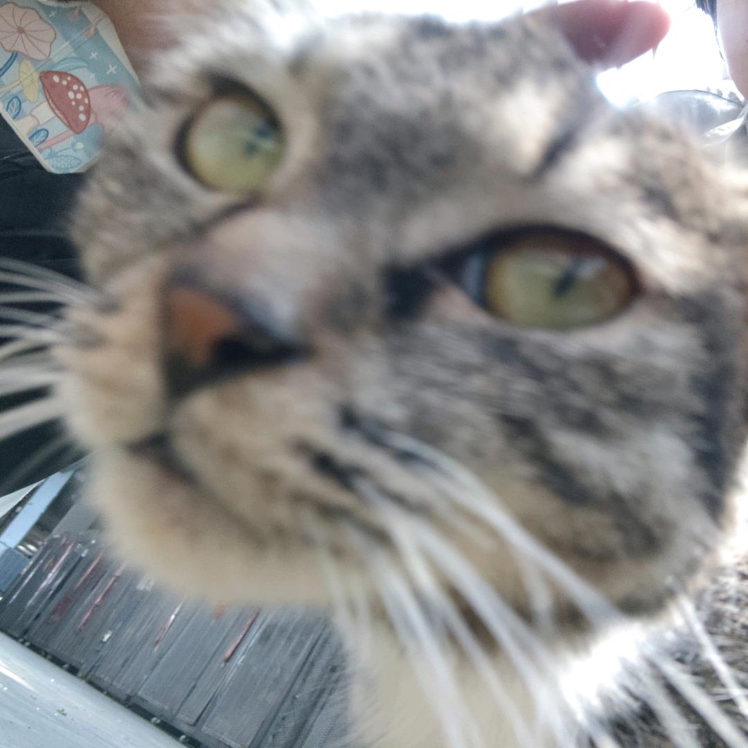 鬼头老师（坚持与努力）