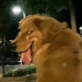 不会打工学打工