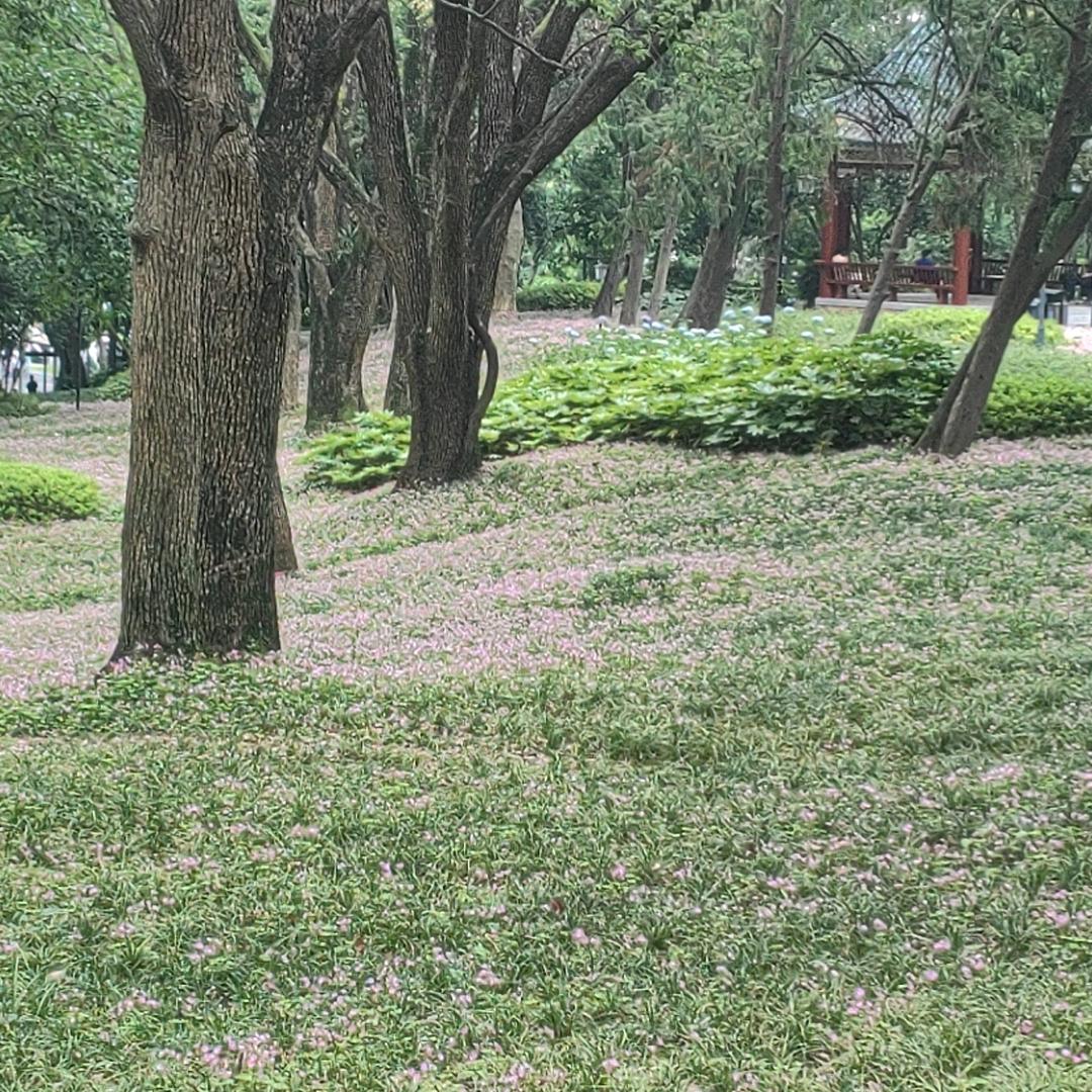 封心锁爱