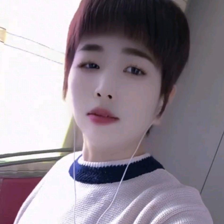 🌲如🌲🎄亿🎄