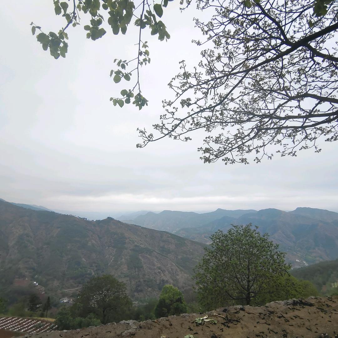 会泽专业吊顶沈师