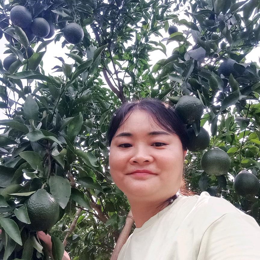 农村英子