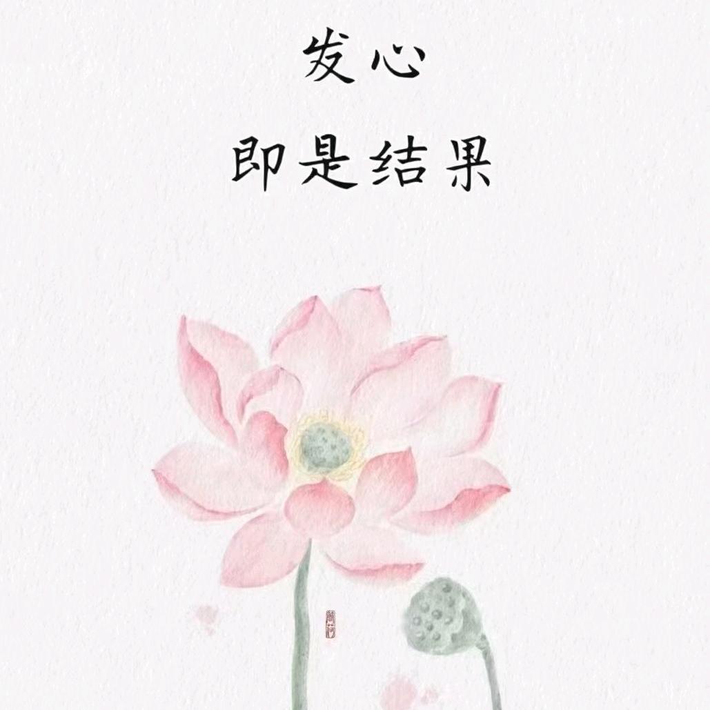 《适我愿兮》
