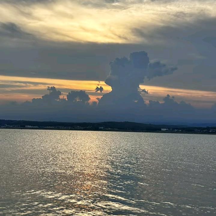 大海的海