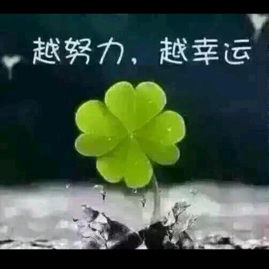 绿叶
