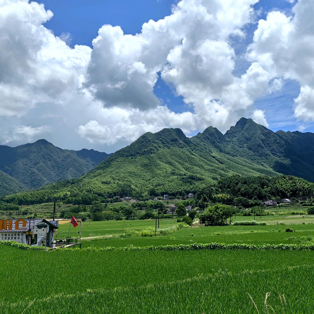 ☀️太阳当空照