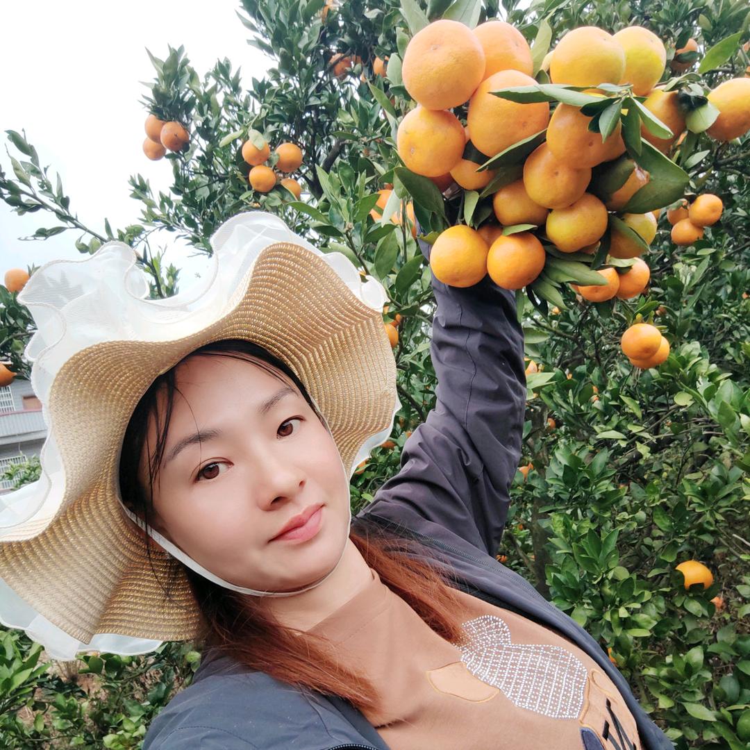 燕子洞口园艺场雪峰蜜桔🍊（自产自销）