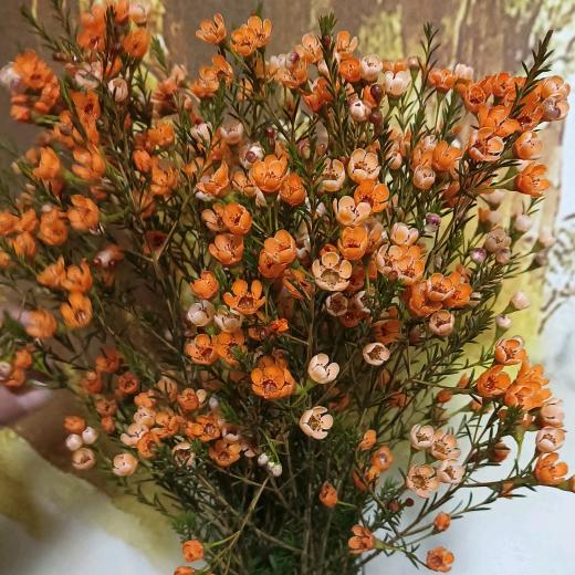 自由自在    😄😄