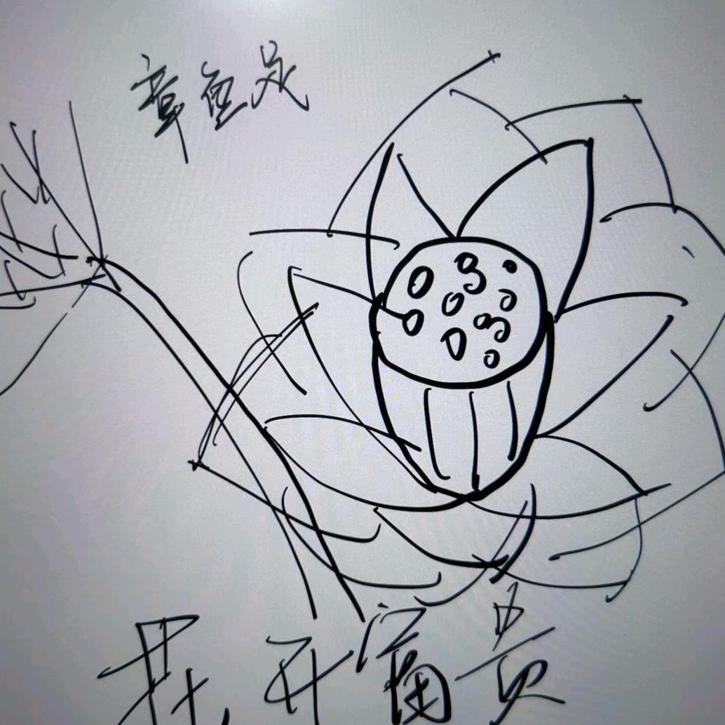 ⁺✞ʚ被玛骂了的委屈晚安ɞ✟₊