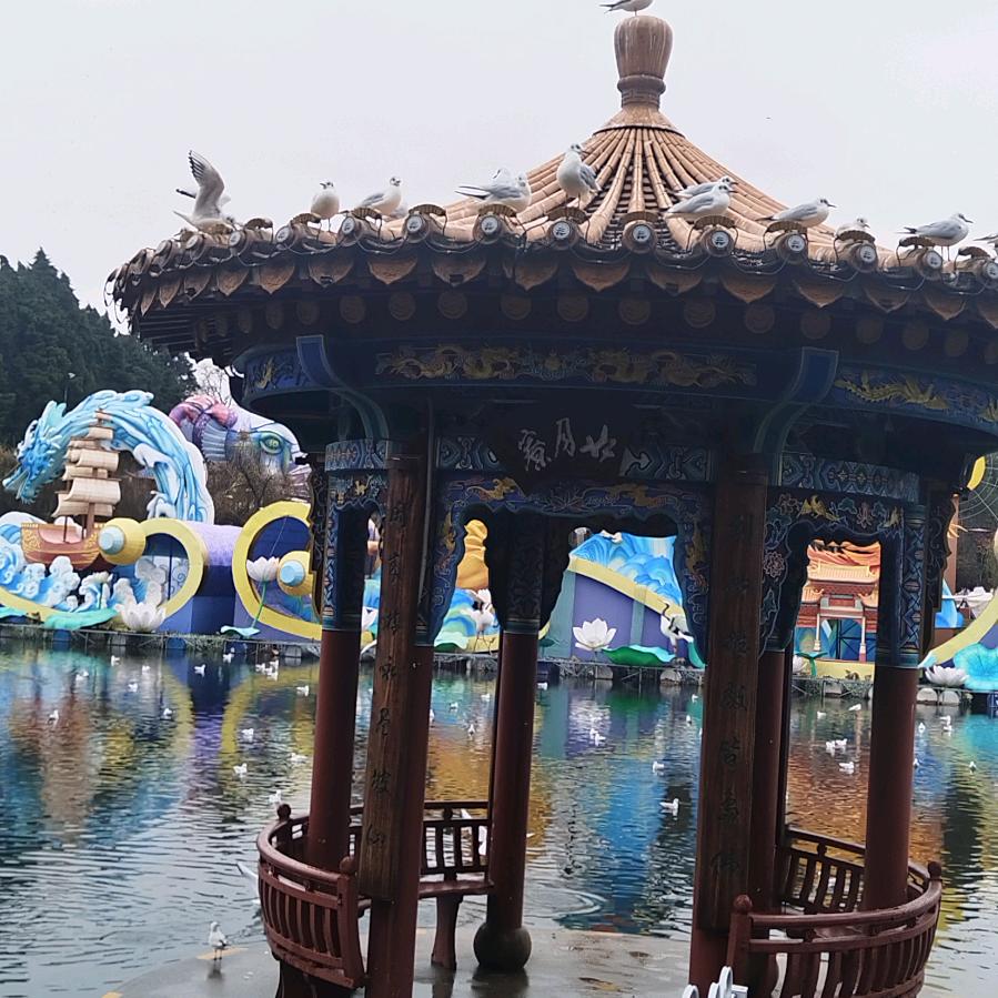 陪伴就是快乐
