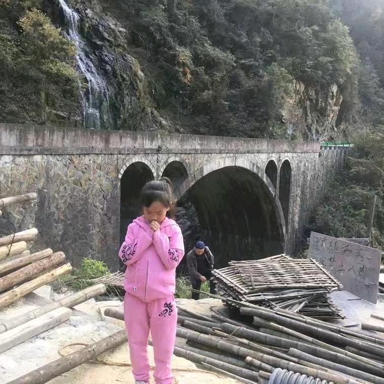 根根