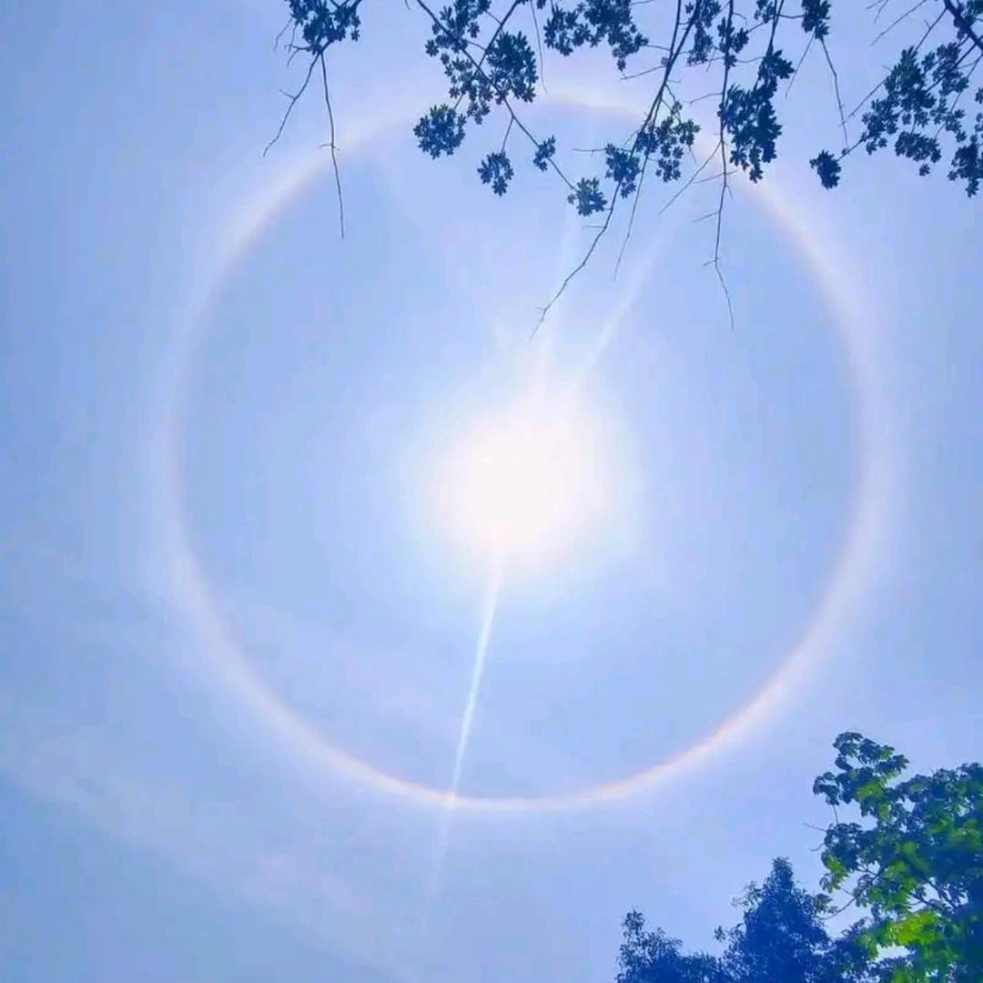 红太阳☀