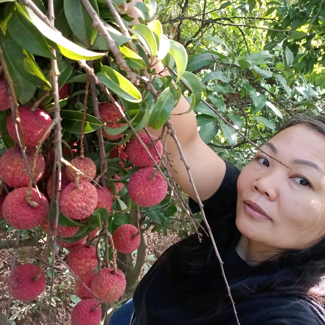 （黎爱中国）媚姐