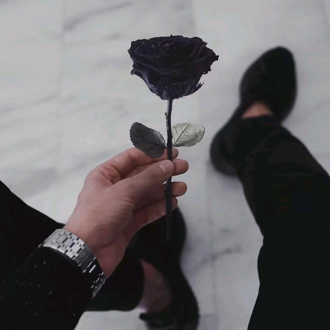 ʀɛʏɨʍ