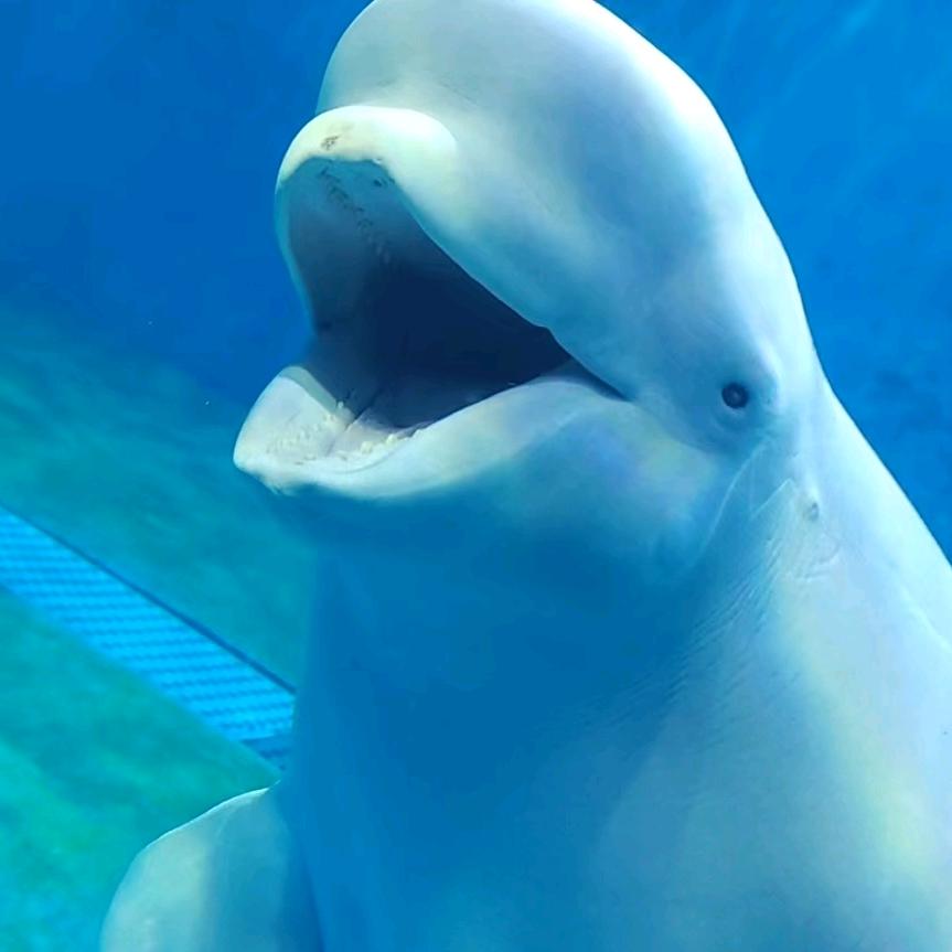 在线实在跑一天多少