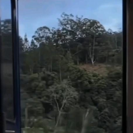寒冬